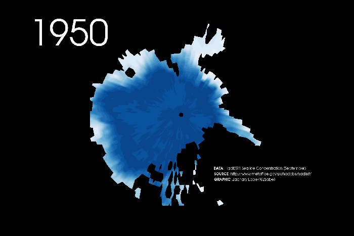 Warming temperatures in the Arctic continue to contribute to rapidly declining sea ice, particularly over the last decade. While interannual variability is inherently noisy, long-term trends continue to indicate declining sea ice extent. Animation shows September sea ice concentration (monthly 1x1, HadISST1) from 1950 to 2015.