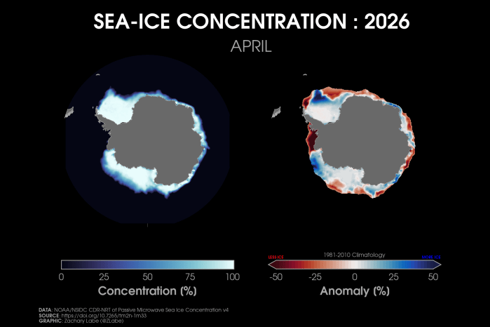 Two polar stereographic maps side-by-side showing Antarctic sea ice concentration and its anomalies relative to 1981-2010 for April 2026. Red shading is shown for less ice, and blue shading is shown for more ice. More areas are below average than above. Antarctica is masked out in grey shading.