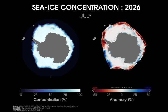 Two polar stereographic maps side-by-side showing Antarctic sea ice concentration and its anomalies relative to 1981-2010 for July 2026. Red shading is shown for less ice, and blue shading is shown for more ice. More areas are below average than above. Antarctica is masked out in grey shading.